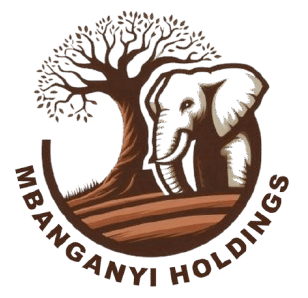 Mbanganyani Holdings 